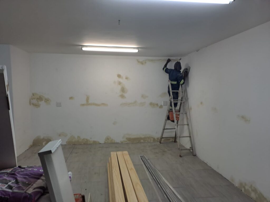 Damp Inspections